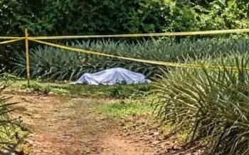Escena del hallazgo en el sector de La Trinchera. La zona permaneció bajo estricta custodia de la Fuerza Pública (Cortesía: Acción 10).