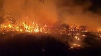 Fontainebleau enfrenta una recuperación de hasta 30 años tras los incendios