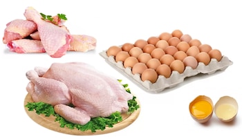 Productos aviares. Pollo entero crudo. Huevos. Patas de pollo crudas. Huevo roto: clara y yema.