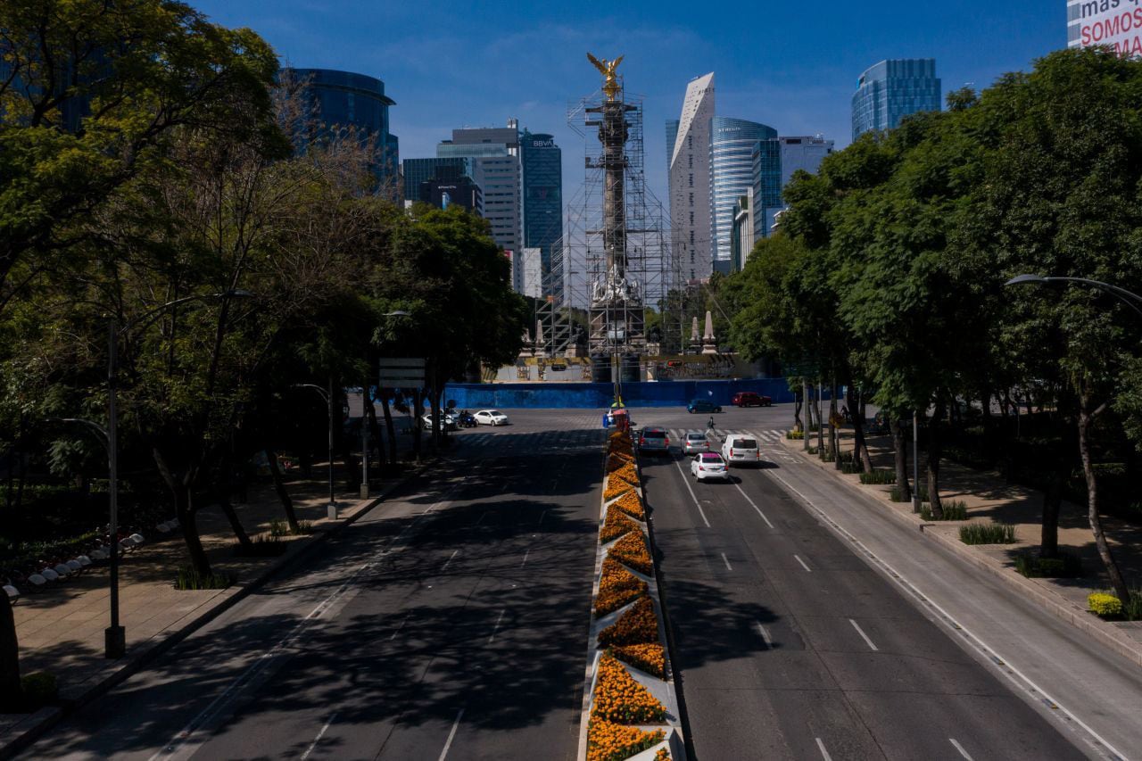 Día de Muertos en pleno Mundial 2026: CDMX coloca flores de cempasúchil en Paseo de la Reforma