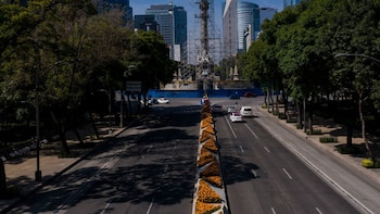 Día de Muertos en pleno Mundial 2026: CDMX coloca flores de cempasúchil en Paseo de la Reforma