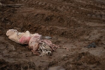 La fosa común que usaron