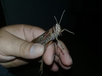 Actualmente, se articula con representantes