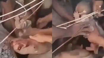 Rescataron con vida a un bebé y a un adulto entre los escombros en Cali tras el fuerte terremoto en Colombia: el emotivo momento quedó en video