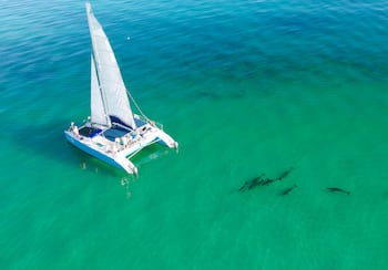 Aguas turquesas de los Cayos de Florida con palmeras en primer plano