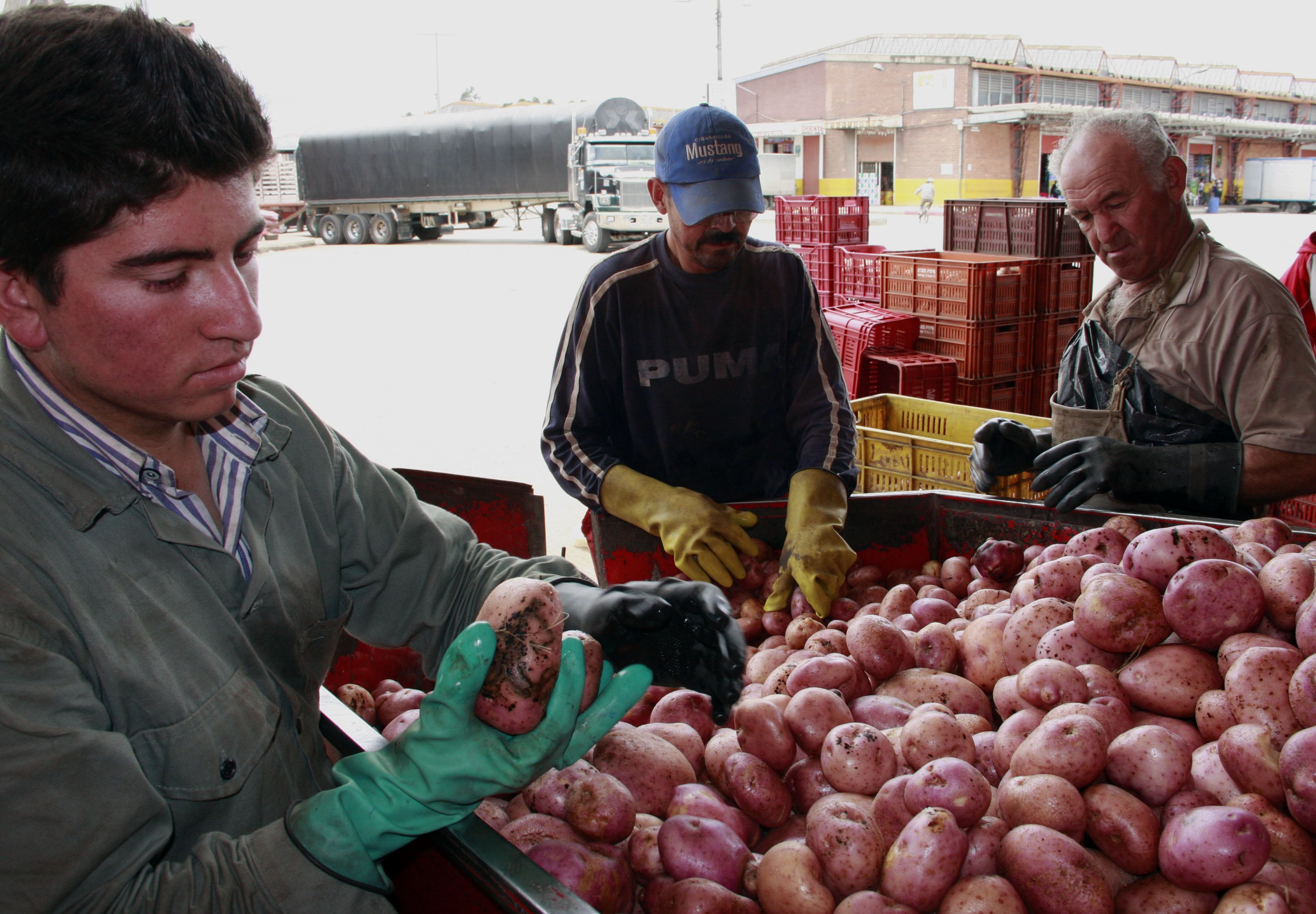 Un estudio estima que el país desperdicia 9,76 millones de toneladas de alimentos al año, equivalentes al 34 % de la oferta disponible -crédito Colprensa