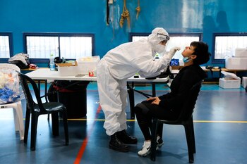 Baja la tasa de reproducción