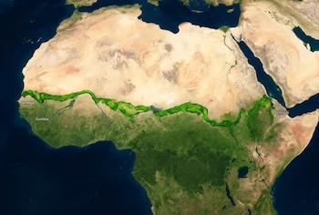 La iniciativa de la Gran Muralla Verde evolucionó hacia la restauración de tierras y el fortalecimiento de la resiliencia frente al cambio climático