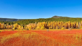 El pueblo de Castilla-La Mancha que se convierte en un ‘mar rojo’ en otoño: un paraíso natural clave en la ruta del mimbre