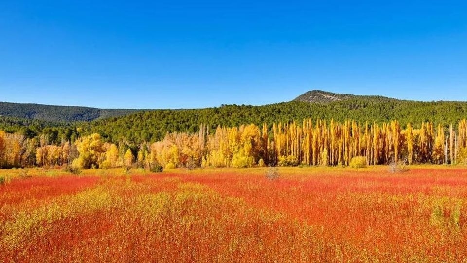 El pueblo de Castilla-La Mancha que se convierte en un ‘mar rojo’ en otoño: un paraíso natural clave en la ruta del mimbre