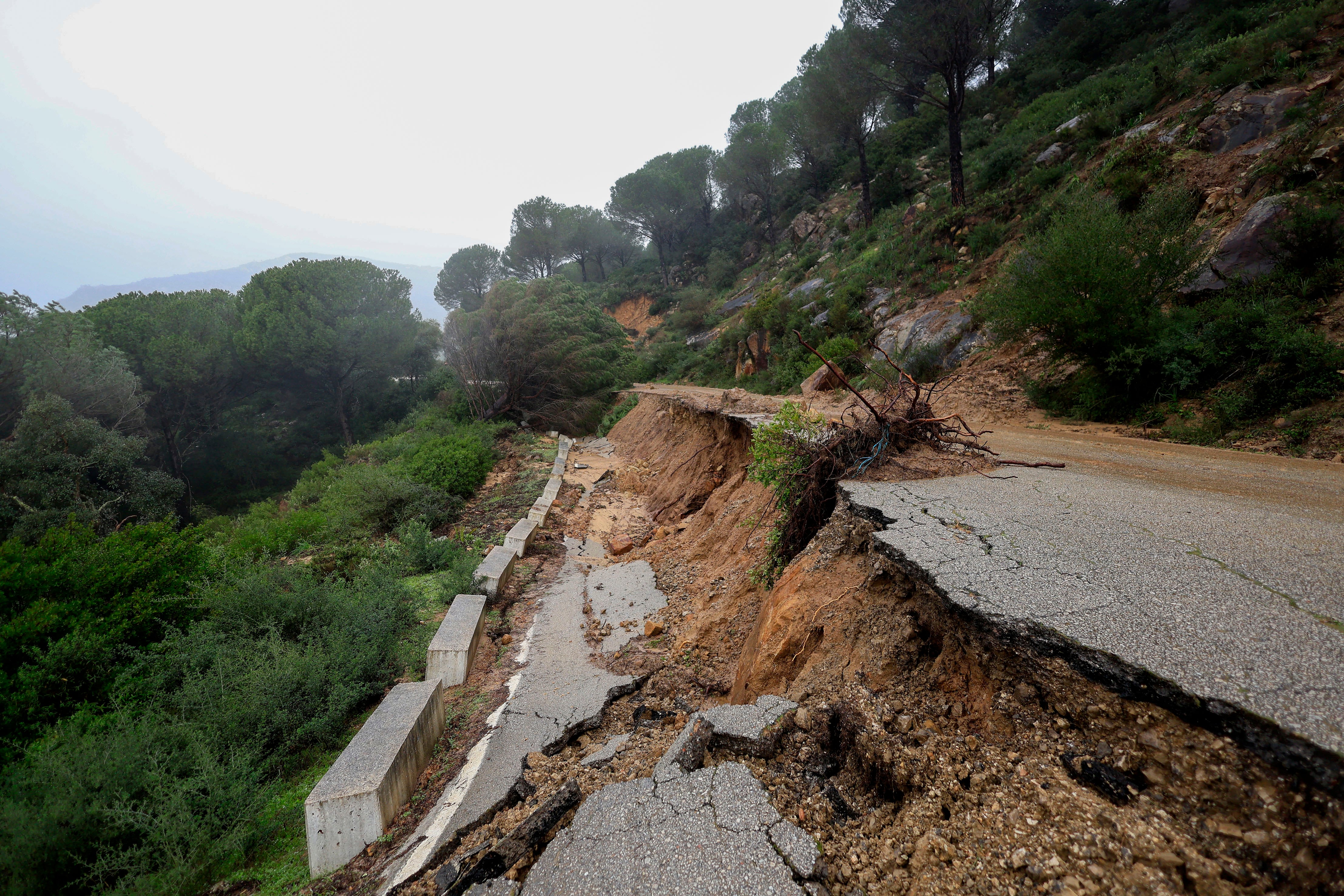 Vista del desprendimiento de la carretera 8201 de Jimena de la Frontera a Ubrique, Cádiz, por las borrascas que han azotado el campo de Gibraltar en los últimos días, a 12 de febrero de 2026. (EFE/ A.Carrasco Ragel)