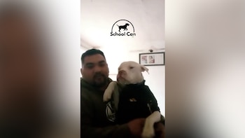 Hombre con barba sostiene a un perro Pitbull blanco que lleva un suéter oscuro, con un logo "School Can" en la parte superior