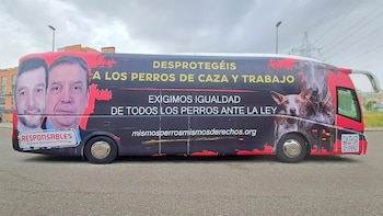 Imagen IFCWNUAWHZB7ZFARU6O6PQ4UMM