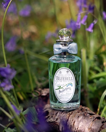 De acuerdo con el sitio