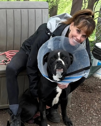 El historial de activismo de