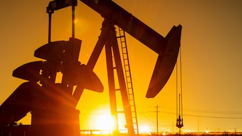 Vaca Muerta y la Minería