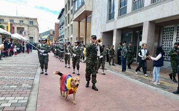 20 de julio - Día de la Independencia