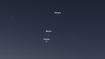 La Luna y Venus, acompañados