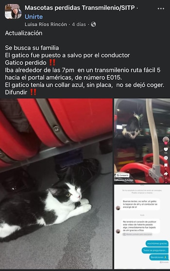 El animal fue apartado de
