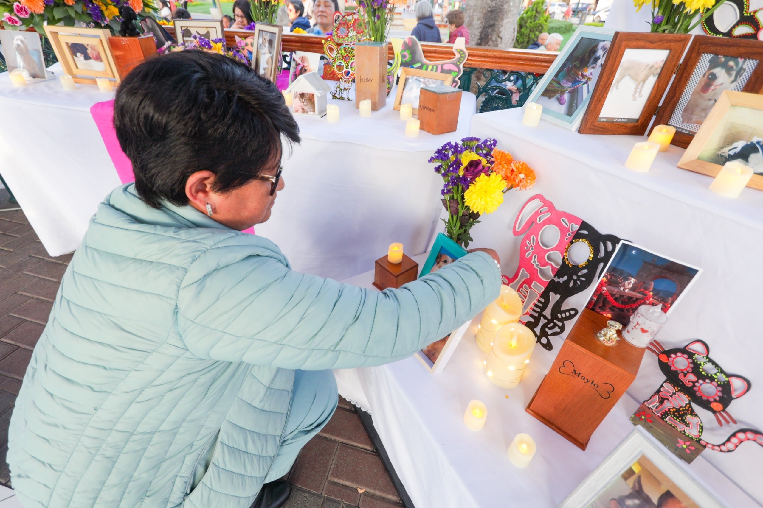 Surco rinde homenaje a las mascotas fallecidas este viernes en su Plaza de Armas