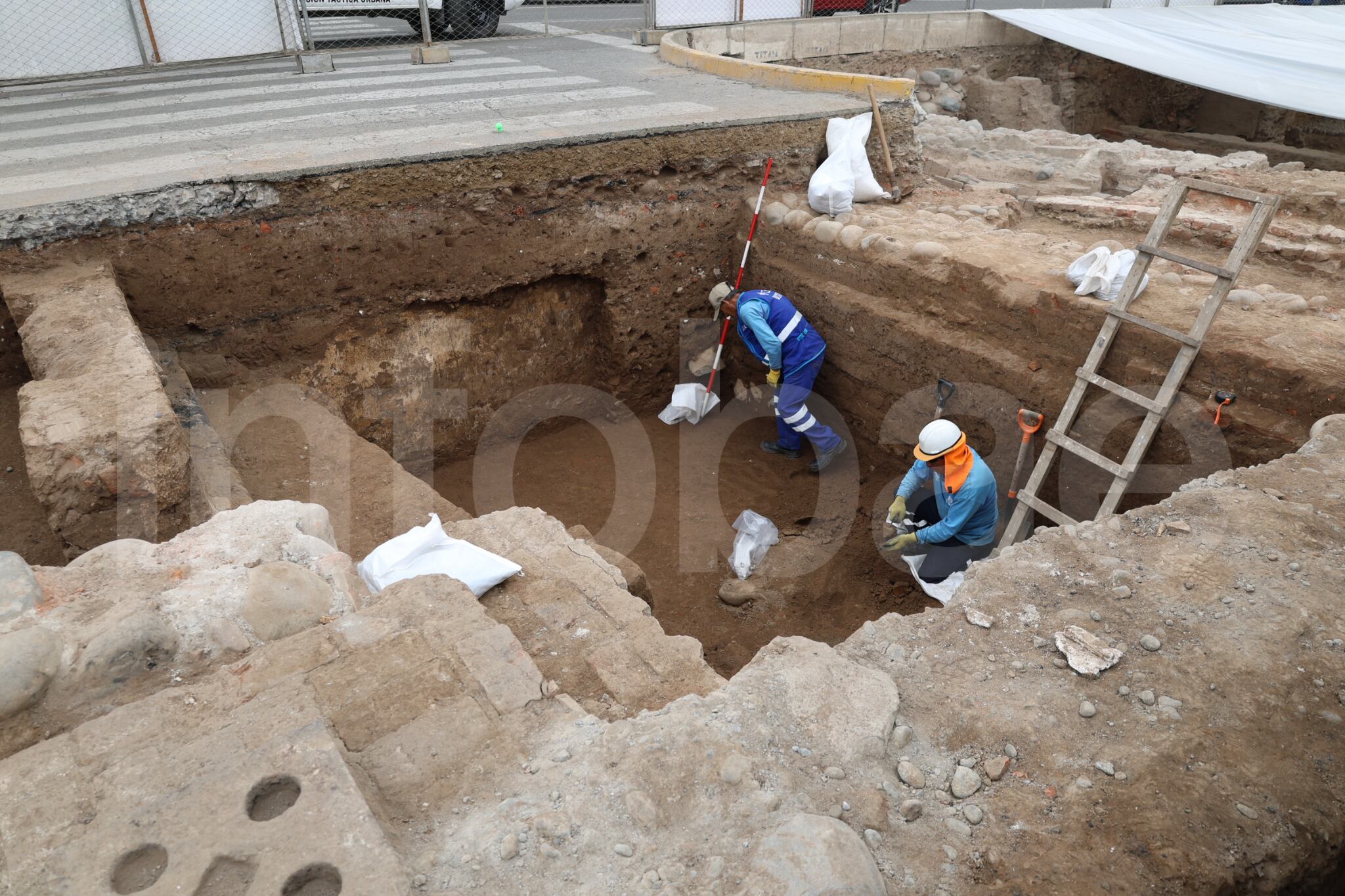 Foto: Paula Elizalde / Infobae Perú