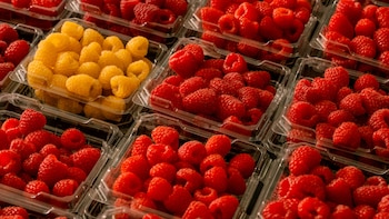 Frutos rojos todo el año: es obra de Driscoll's