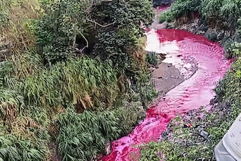 Las autoridades de Guatemala ordenaron la suspensión precautoria de Zoomsa por la contaminación reportada en el río Las Vacas.