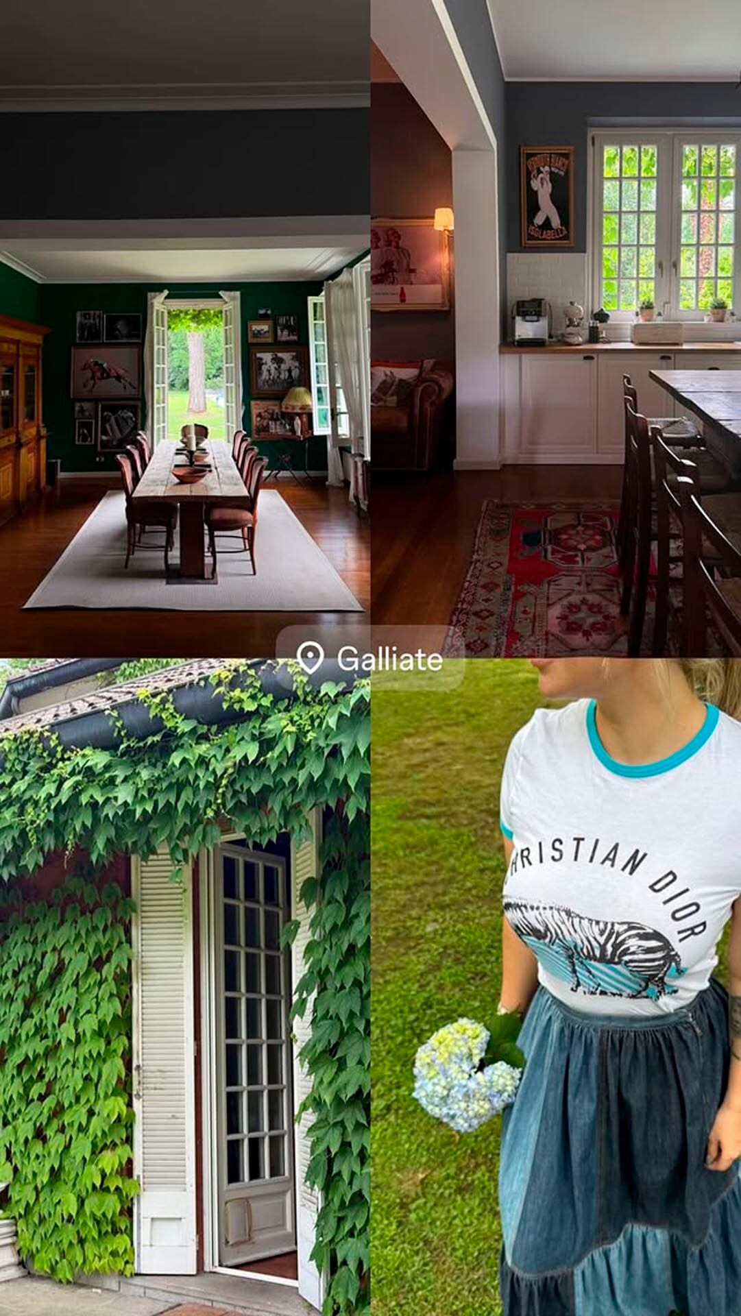 Algunos de los detalles del inmueble de la empresaria: amplias habitaciones, muebles de madera y un jardín repleto de plantas