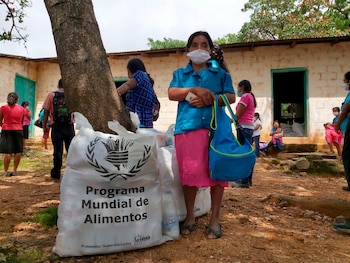 La pérdida de cultivos en Honduras también reduce los ingresos agrícolas y aumenta el gasto de los hogares en productos básicos.EFE/Hetse Tosta