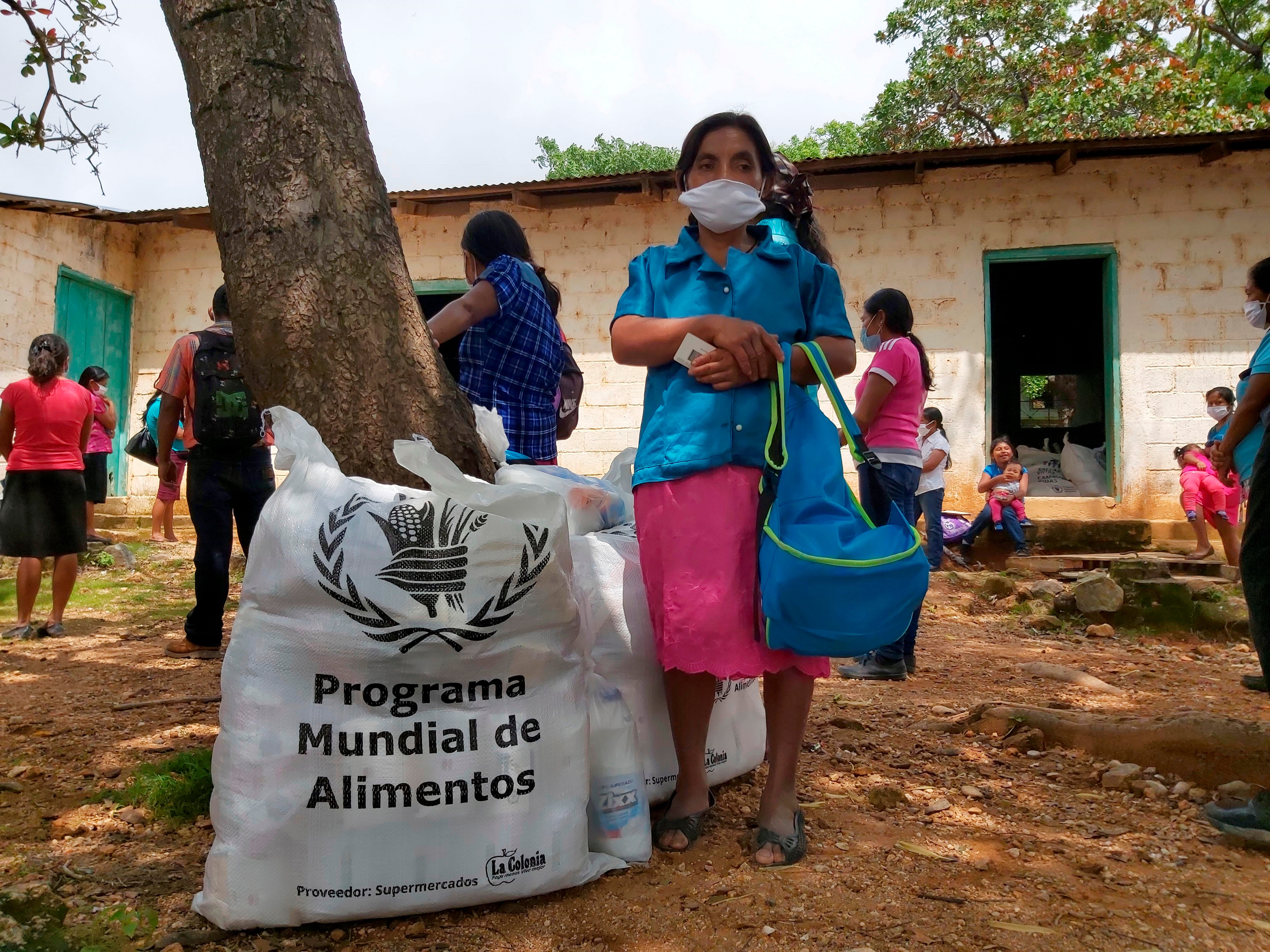 La pérdida de cultivos en Honduras también reduce los ingresos agrícolas y aumenta el gasto de los hogares en productos básicos.EFE/Hetse Tosta