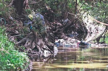 El corte en el cuello,