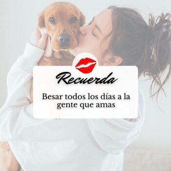 (unionguanajuato.mx)