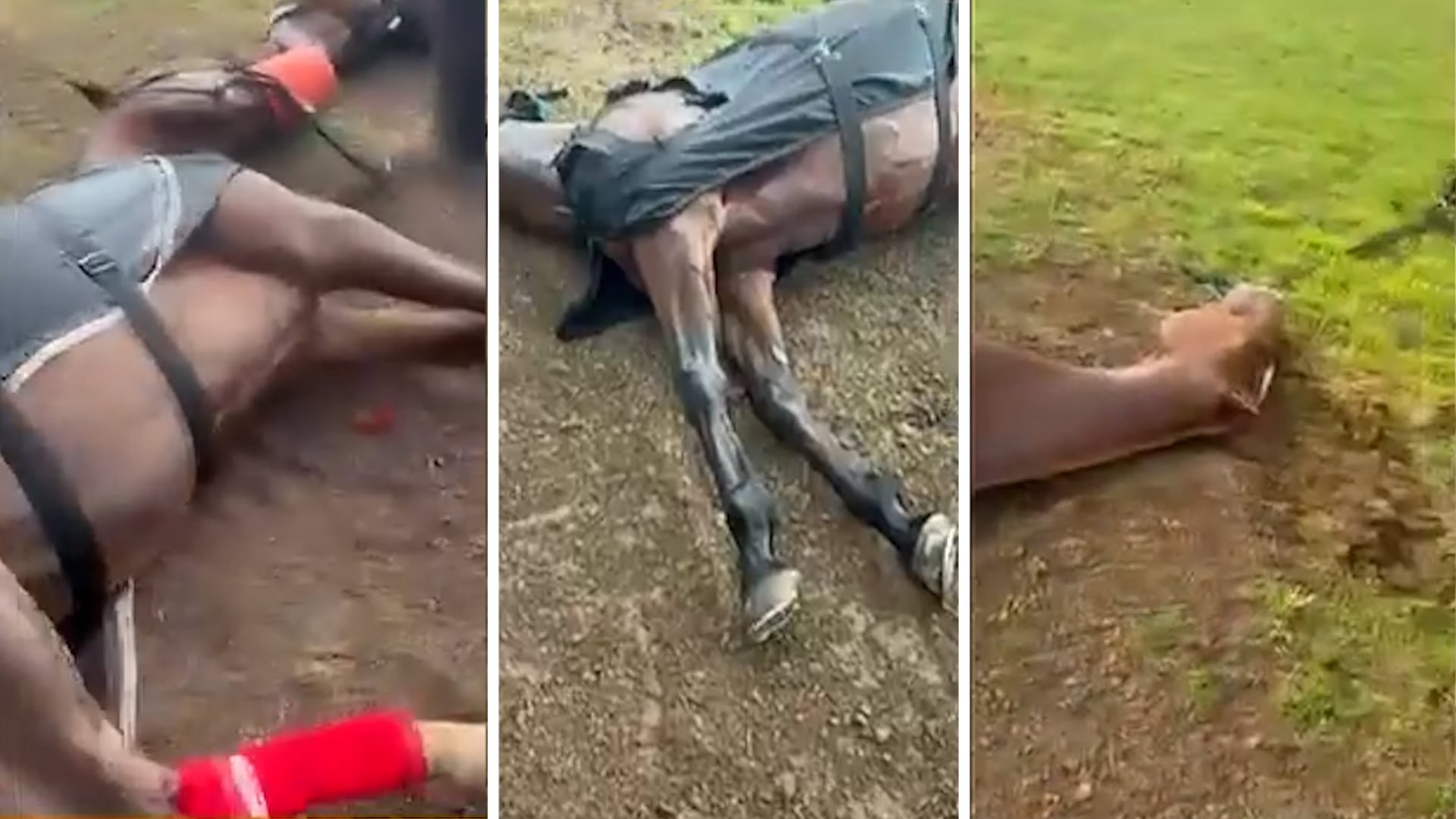 Rayo mató a cuatro caballos de polo en San Isidro