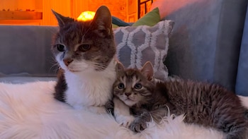 A su corta edad Richy