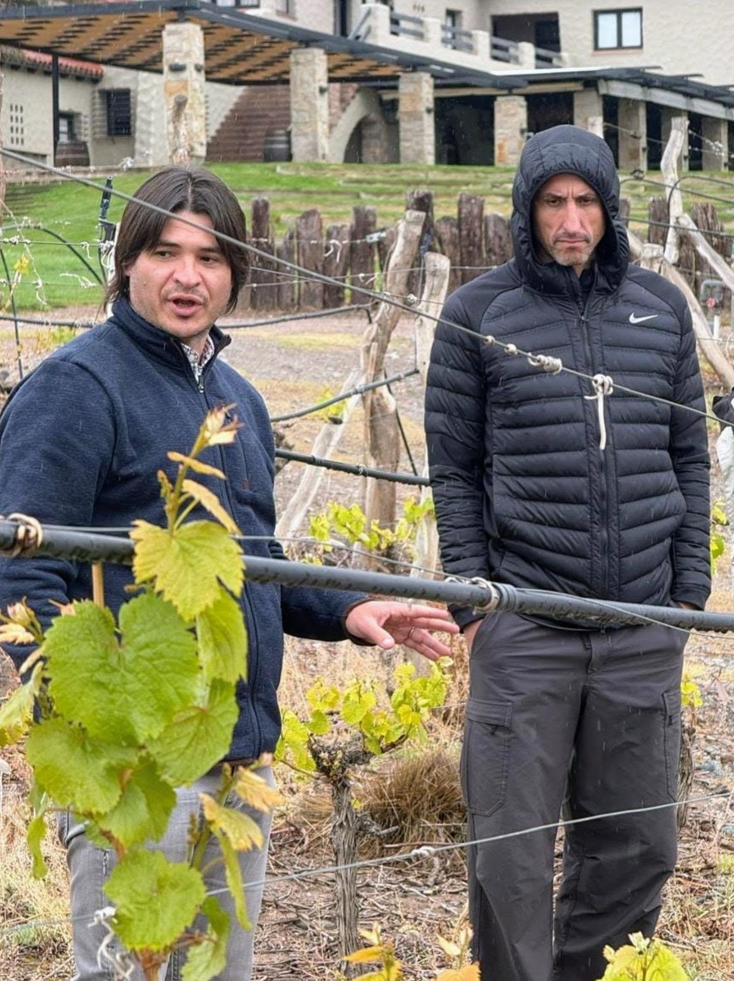 Manu Ginóbili recorre los viñedos de una bodega durante su estancia en la provincia de Mendoza.