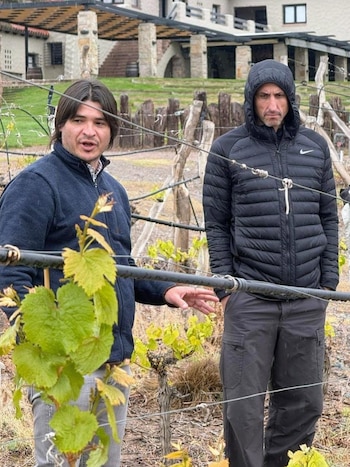 Dos hombres con ropa de abrigo observan una planta de vid en un viñedo con una edificación al fondo