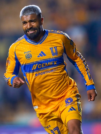 El cuadro felino avanzó a