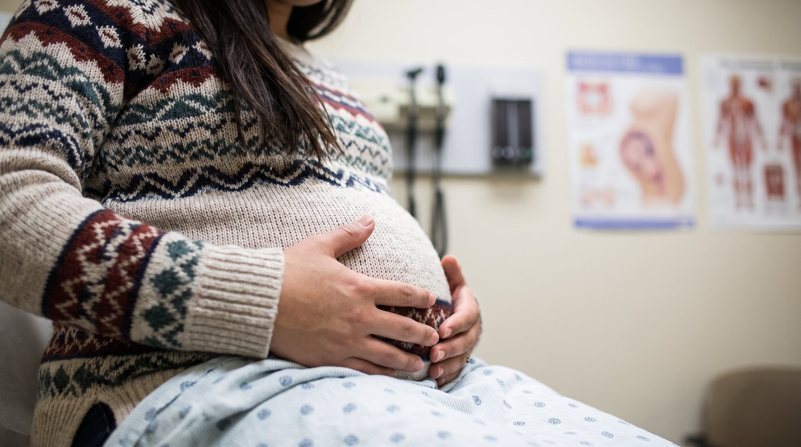 La primera ecografía transvaginal permite confirmar latidos, observar el estado inicial del embarazo y precisar la edad gestacional con una diferencia de dos o tres días (Imagen Ilustrativa Infobae)