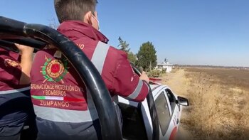 Alerta en Zumpango: cuatro leones