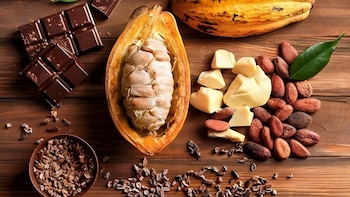 Exportaciones de chocolate peruano se disparan 67% al inicio de 2026: EEUU y Canadá continúan siendo los destinos principales