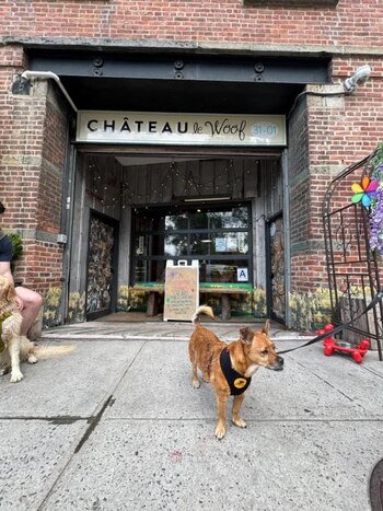 Entrada de Château Le Woof