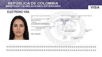 Vista de una visa electrónica colombiana, con el logo del Ministerio de Relaciones Exteriores y una foto de pasaporte de una mujer en el lado izquierdo.