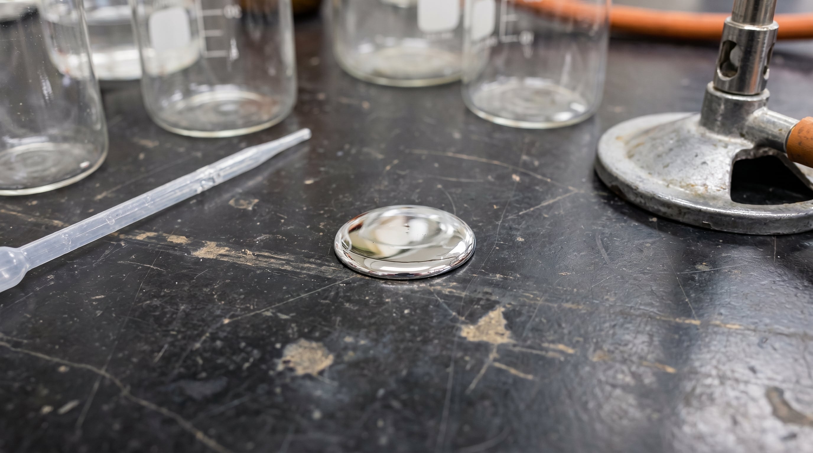 El metilmercurio se acumula en peces grandes, depredadores y longevos por un proceso de bioacumulación en mares, ríos y lagos (Imagen Ilustrativa Infobae)
