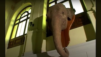 El Museo de Historia Natural