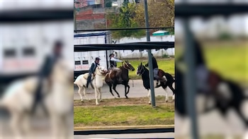 Violenta pelea entre dos jinetes a rebencazos durante la celebración del 25 de mayo en Berazategui