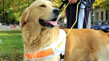 Condenaron a un restaurante por