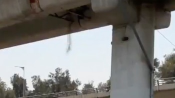 puente de La Concordia (Foto: