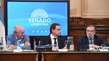 Los senadores Oscar Parrilli y