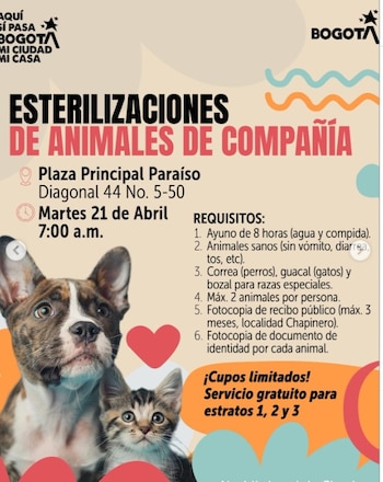 Las familias de Chapinero accederán a servicios veterinarios y esterilización sin costo en abril - crédito @alcaldiachapinero/IG