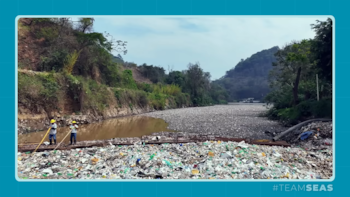 Eliminaron 15 millones de kilos